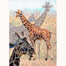 ZOO GREETING CARD How Tall